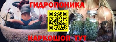 эйфоретик Ефремов