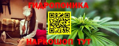 соль ск Лесосибирск