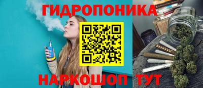 соль ск Лесосибирск