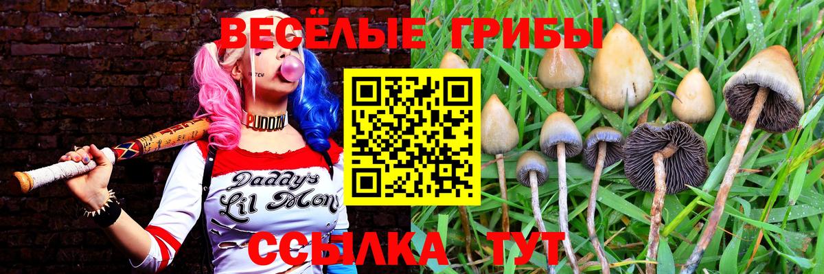 Псилоцибиновые грибы Psilocybe Шали
