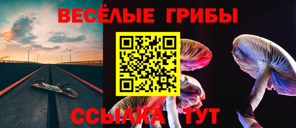 закладки  Вход с VPN  Шали  Псилоцибиновые грибы Cubensis 
